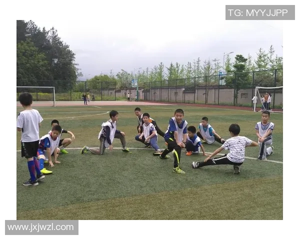 以球星模型足球为核心探索运动魅力与团队协作精神的多维价值